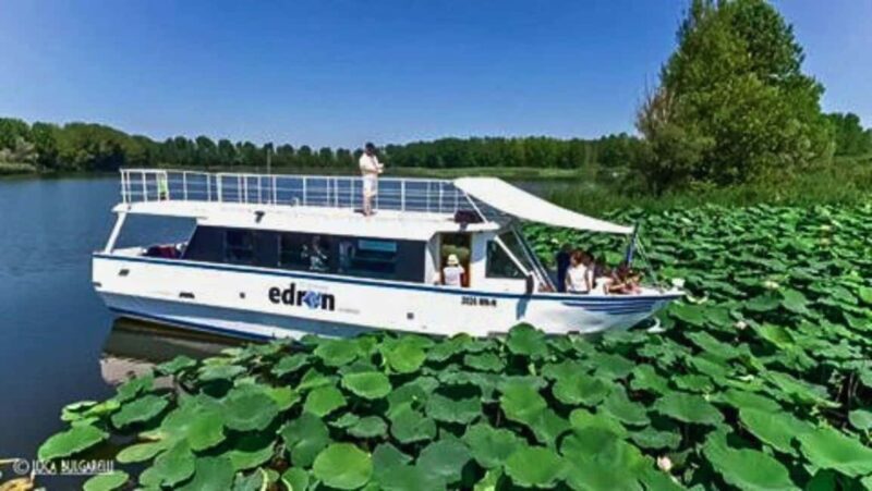 Mantua: Boating on Lake Superiore among the Lotus Flower Islands - Elegant Boat Ride on Lake Superiore Among Lotus Flower Islands
