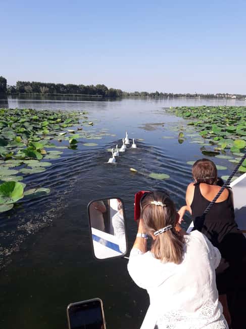 Mantua: Boating on Lake Superiore among the Lotus Flower Islands - Exploring the Natural Beauty of the Mincio Valleys