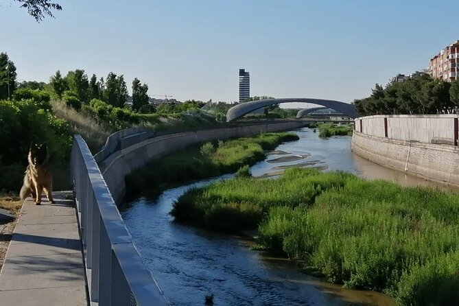Manzanares Rivers Story: A Self-Guided Audio Tour in Madrid - Starting Point at the Antiguo Depósito de Agua in Arganzuela