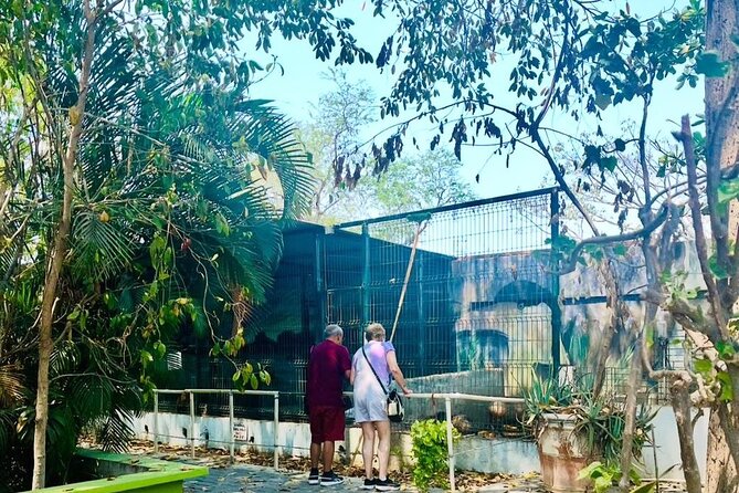 Manzanillo Tour with Transportation and Face-to-face Guide - Exploring Laguna de las Garzas and Its Natural Wealth