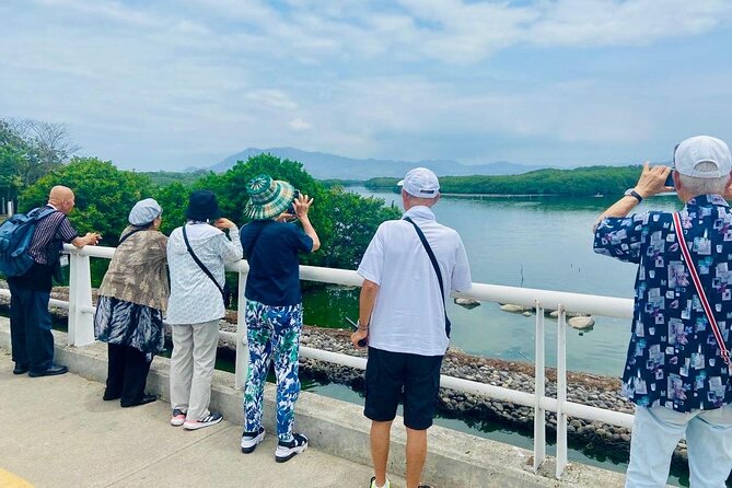 Manzanillo Tour with Transportation and Face-to-face Guide - Guided Walk and Port Views at Playa Las Brisas