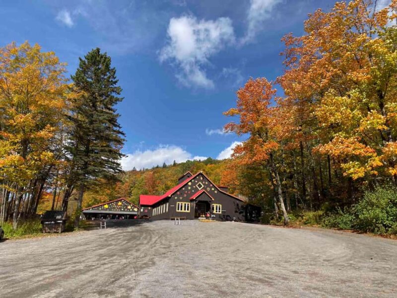 Maple Syrup Museum Tour with Tastings - Richard’s Chainsaw Exhibition and Cultural Displays