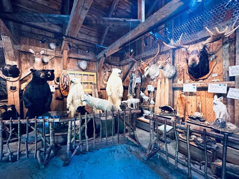 Maple Syrup Museum Tour with Tastings - Flexibility and Accessibility of the Tour