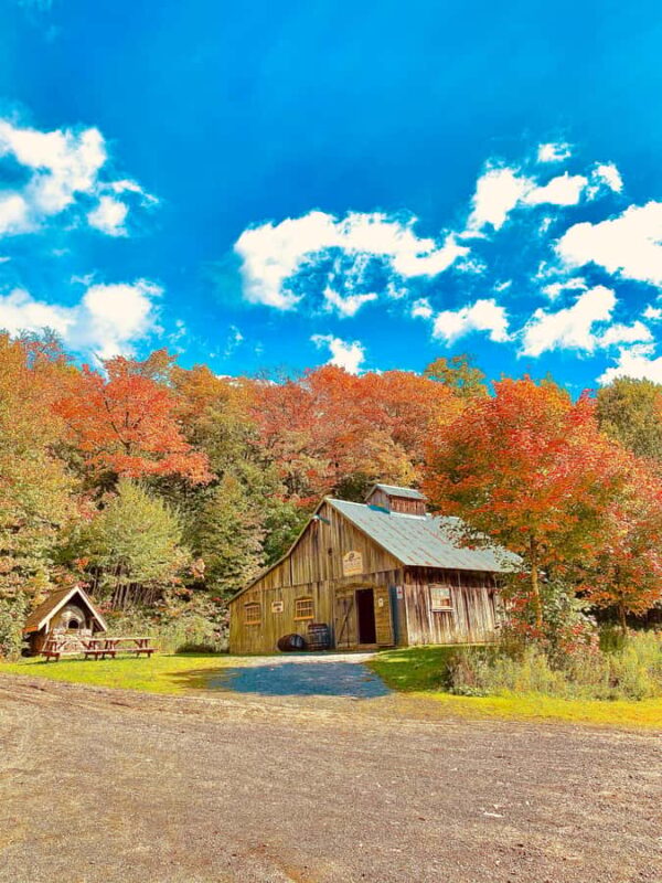 Maple Syrup Museum Tour with Tastings - Wrapping Up the Maple Syrup Experience