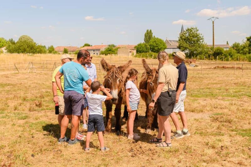 Marais Poitevin: A day of discovery in the footsteps of Baudet - Logistics and Practical Tips for Participants