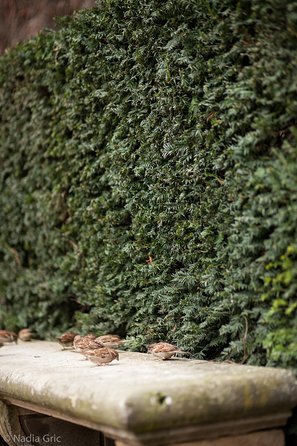 Marais semi private walking tour - The Outside of Centre Pompidou: Modern Art Meets Cityscape