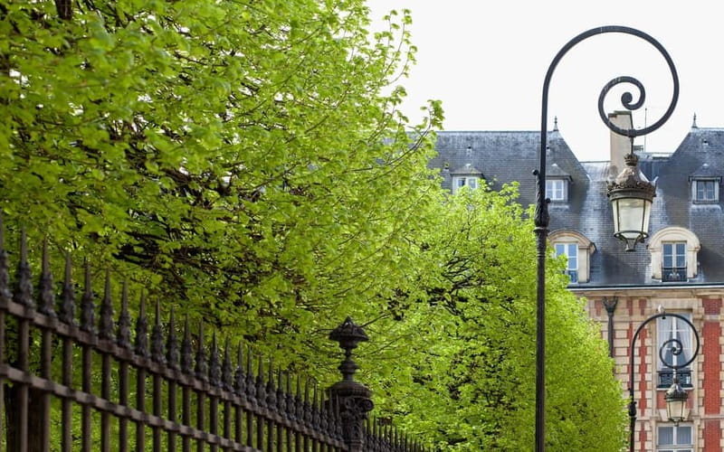 Marais Semi Private Walking Tour - Exploring the Architectural Pearls of Pre-Haussmann Paris