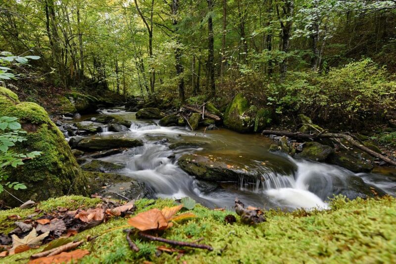 Maramure Mountain Trail - Discover the Charm of Wooden Churches and Mountain Peaks