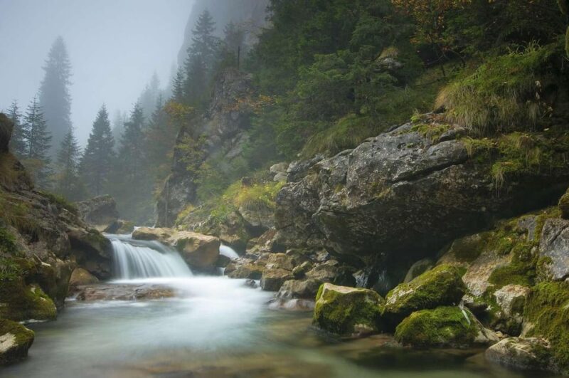 Maramure Mountain Trail - Traditional Romanian Lunch at a Local Restaurant
