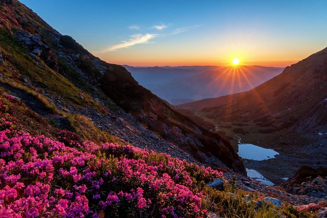 Maramures Activ Tour - Explore the Beauty of Romania with the Maramures Activ Tour