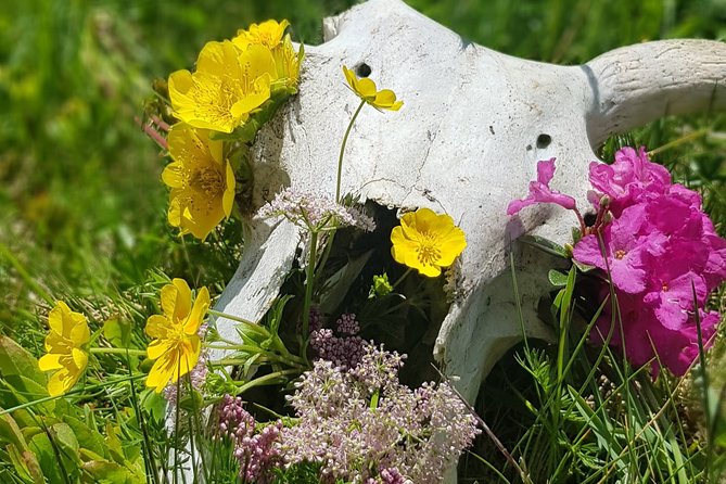 Maramures Activ Tour - Riding the Mocanita Steam Train and Visiting Barsana Monastery