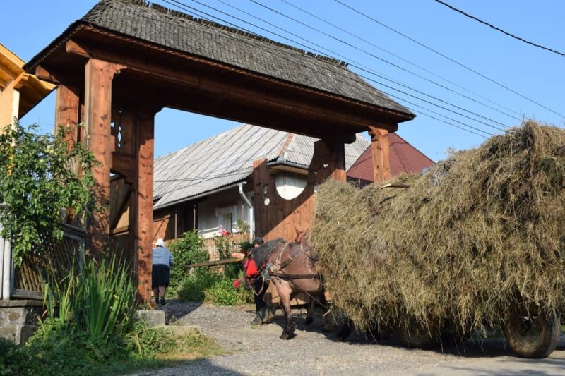 Maramures day tour (from Cluj) - Practical Details and Transportation