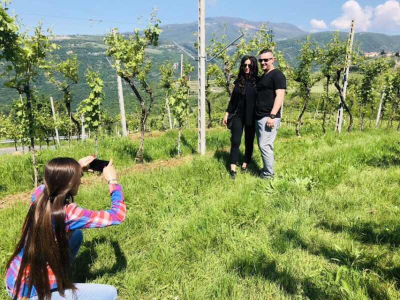 Marano di Valpolicella: DOP Olive Oil Tasting Experience - Marano di Valpolicella: DOP Olive Oil Tasting Experience Overview