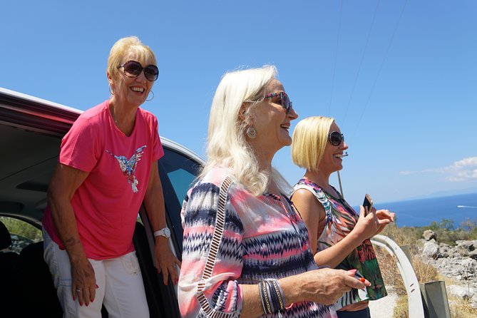 Marathon Battlefield Half Day Private Tour from Athens - The Logistics and Comfort of This Tour