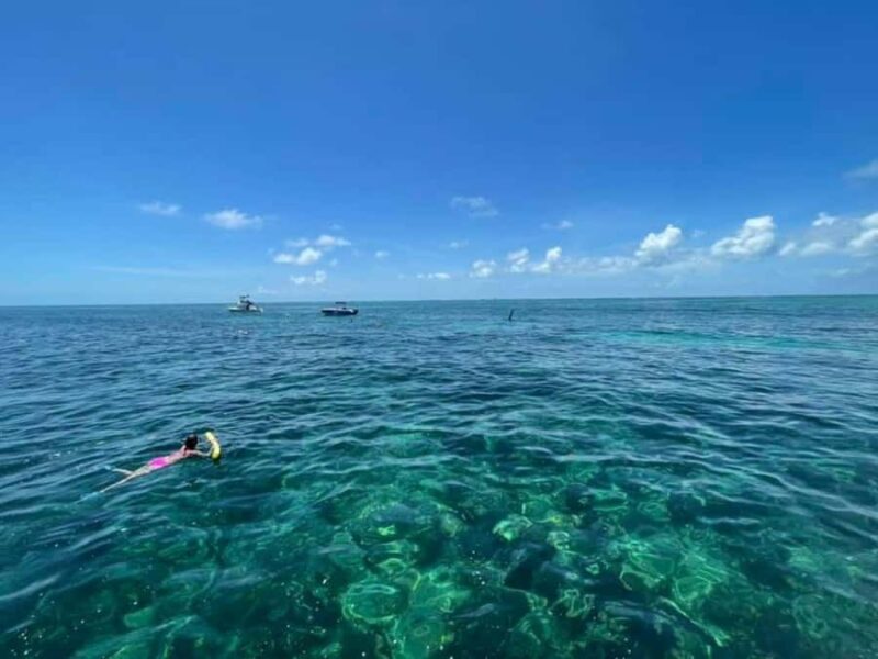 Marathon : Coffins Patch Reef Snorkel & Sandbar Combo - Marine Life Encounters and Eco-Tours