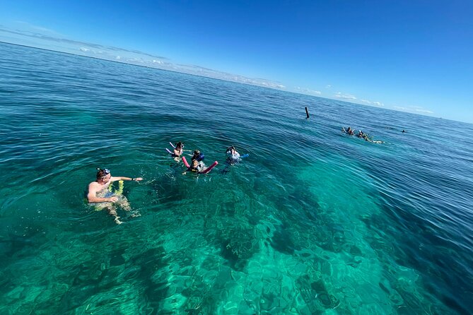 Marathon Coffins Patch Reef Snorkel & Sandbar Tour - Weather and Conditions: A Factor to Consider