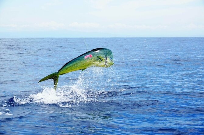 Marathon Florida Keys Fishing Experience Big Game - Marathon Florida Keys Fishing Experience Big Game: An Exciting Deep-Sea Adventure