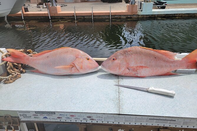 Marathon Florida Keys Fishing Experience - Meeting Point and Accessibility in Marathon