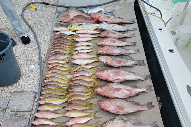 Marathon Florida Keys Fishing Experience - Flexibility and Weather Policy