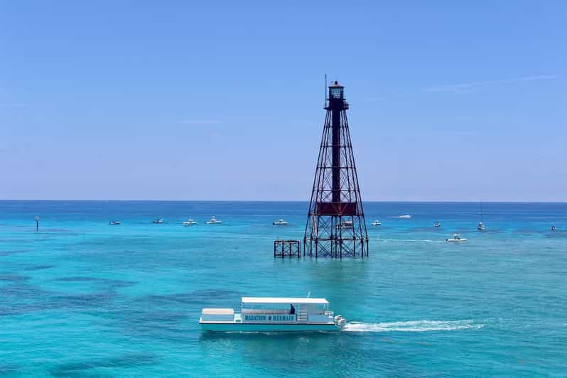 Marathon: Snorkeling Adventure by Boat at Sombrero Reef - Key Points
