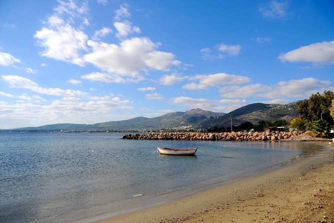 Marathon, Thermopylae/ Herodotus History private tour (9 hours) - The Modern Thermopylae Museum and the Leonidas Monument