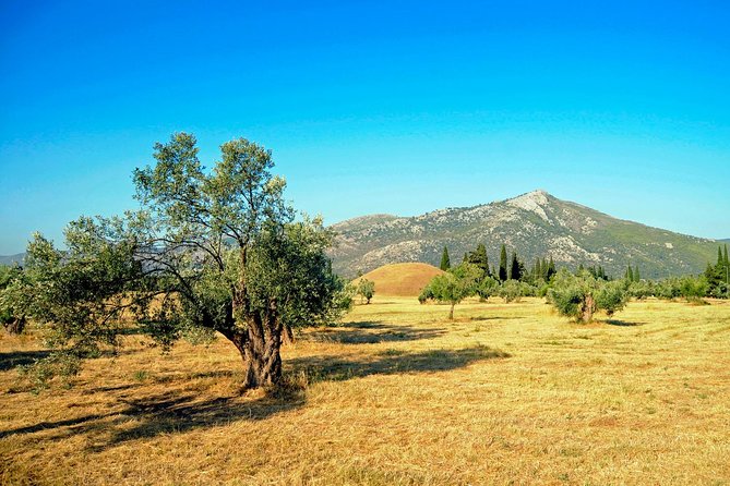 Marathon, Thermopylae, Thebes/Plataea, Herodotus Private Tour 10h - Visiting the Archaeological Museum of Thebes