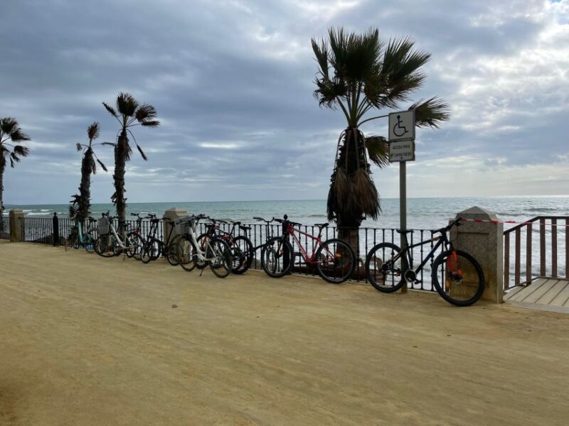 Marbella: 3-Hour Guided Bicycle Tour - Logistics and Group Comfort