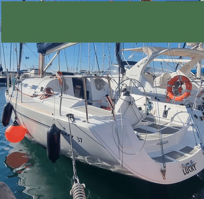 Marbella: Dolphin-Watching Sailboat Trip with Drinks, Snacks - The Chance to See Dolphins in Action