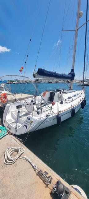 Marbella: Dolphin-Watching Sailboat Trip with Drinks, Snacks - Who Will Love This Boat Trip?