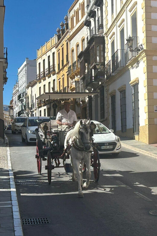 Marbella/Estep. Private VIP-Tour Ronda incl. Tapas & Drinks - Key Points