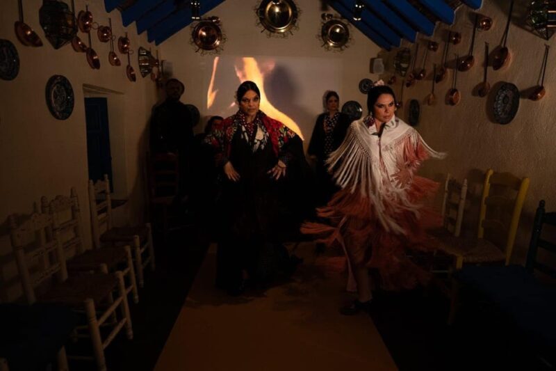 Marbella: Flamenco Show with a Drink - The Cost and What’s Included