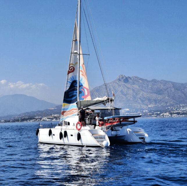 Marbella: Group Dolphin Watching Catamaran Tour with Drinks - Key Points