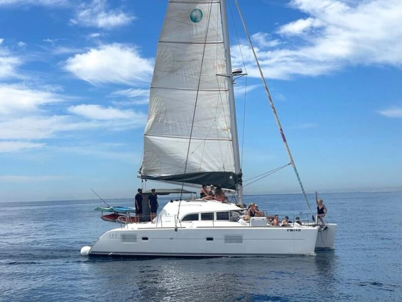 Marbella: Group Dolphin Watching Catamaran Tour with Drinks - Flexibility with Cancellation and Payment