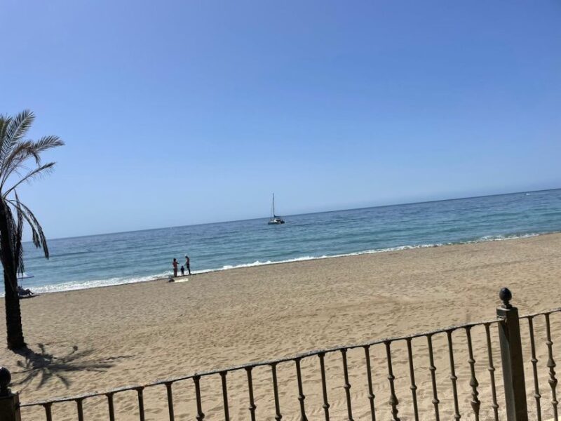 Marbella: Guided Bike Tour with Tapas Tasting and Drinks - Visiting Parque Alameda and the Dali Sculptures