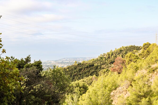 Marbella Guided Hiking and Foraging Adventure - Key Points