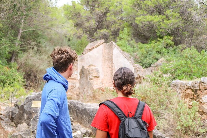 Marbella Guided Hiking and Foraging Adventure - Discovering Marbella’s Water Features