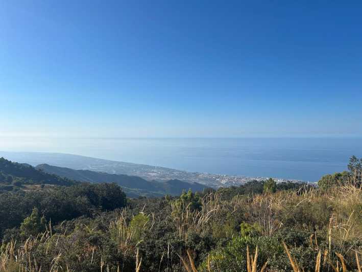 Marbella: "La Concha" mountain tour including snack and drink - The Picnic at Over 1,200 Meters