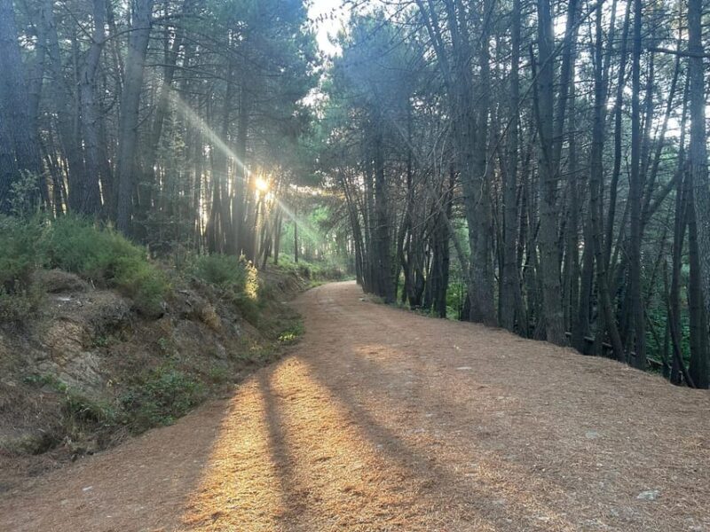 Marbella: "La Concha" mountain tour including snack and drink - Wildlife Encounters in the Mountain Environment