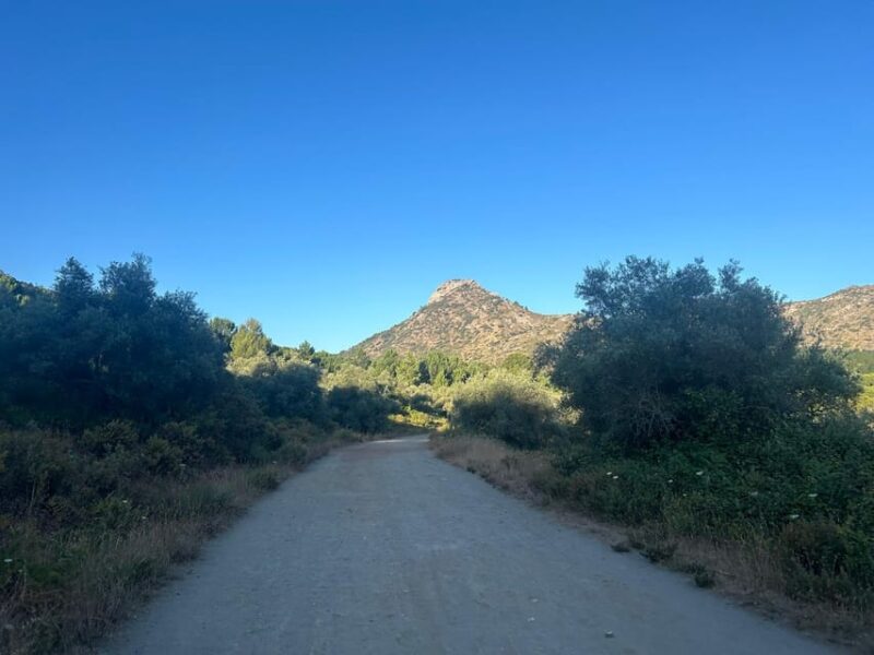 Marbella: "La Concha" mountain tour including snack and drink - The View from the Top: A Spectacle on a Clear Day