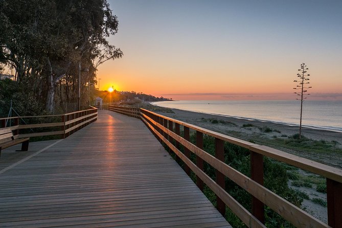 Marbella Like a Local: Customized Private Tour - Discover Marbella’s Art Scene and Contemporary Gallery