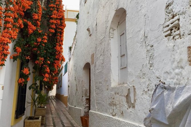 Marbella Old Town group tour with a True Local - Discovering Marbella’s Historic Hospital and Cultural Treasures