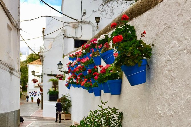 Marbella Old Town group tour with a True Local - The Iconic Plaza de los Naranjos