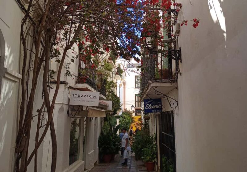 Marbella: Private Tour of the Historic Center - Discover Marbella’s Historic Charms in a Private 2-Hour Tour