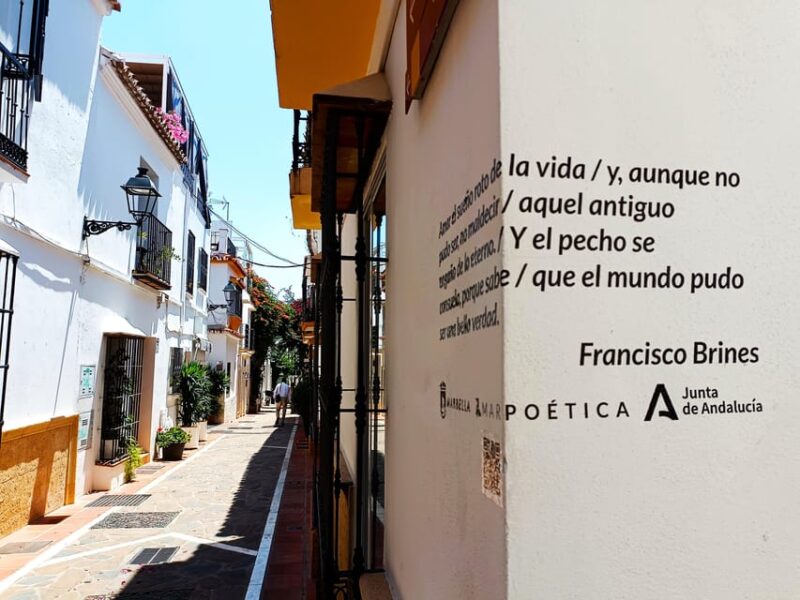 Marbella: Private Walking Tour - The Guide’s Approach and Language Options