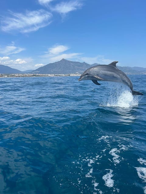 Marbella: Sailing & Dolphin Watching with Snacks and Drinks - Embarking from Marbella’s Puerto Banús: The Meeting Point