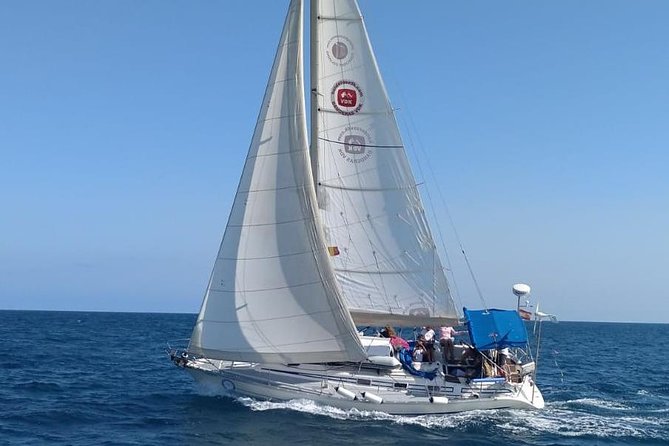 Marbella Sailing Experience - Key Points