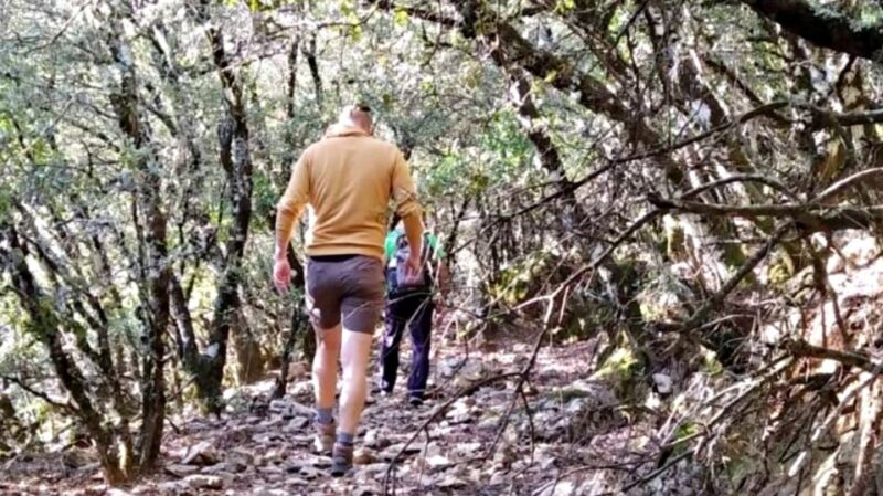 Marbella: Sierra de las Nieves National Park Hiking Day Trip - Marbella: Sierra de las Nieves National Park Hiking Day Trip - An In-Depth Look