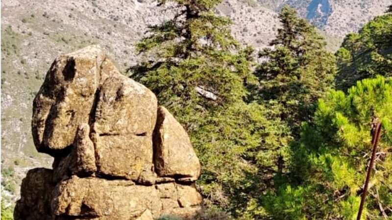 Marbella: Sierra de las Nieves National Park Hiking Day Trip - Key Points