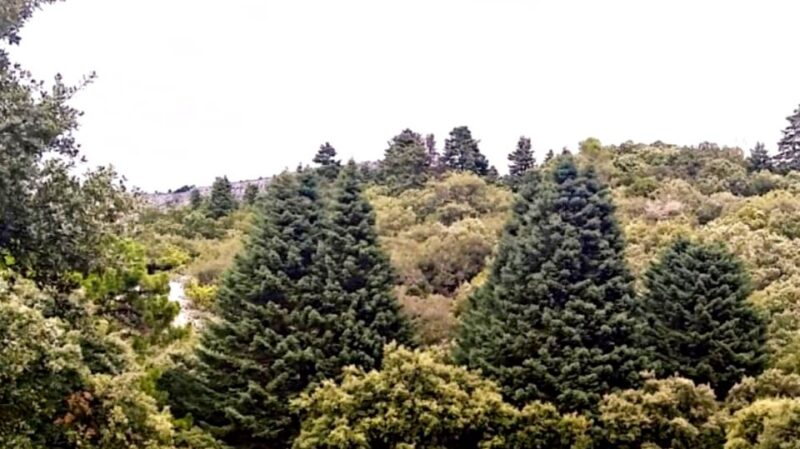 Marbella: Sierra de las Nieves National Park Hiking Day Trip - Breathtaking Valley Views and Photographic Opportunities