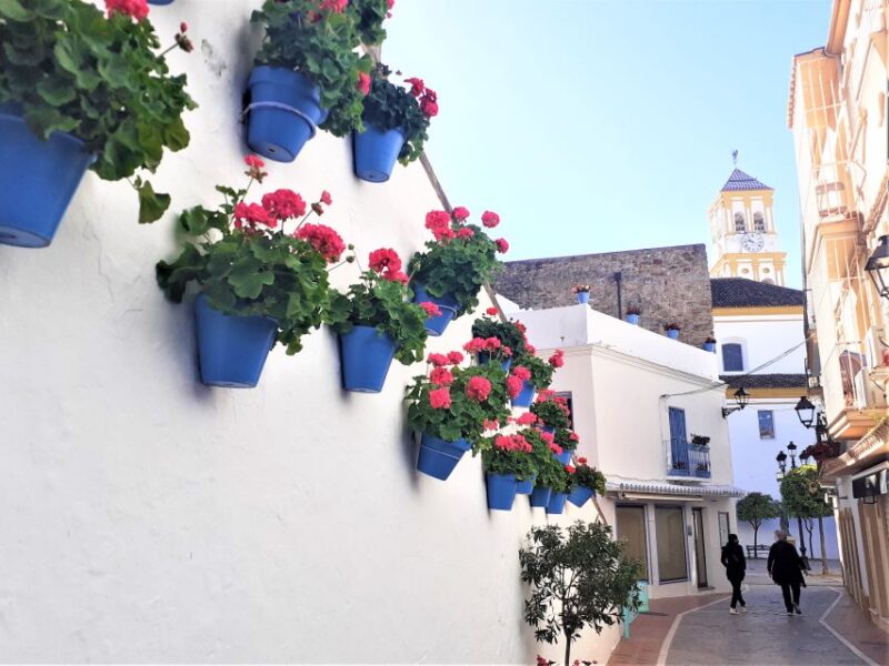Marbella: Sightseeing Walking Tour - Practicalities and Accessibility